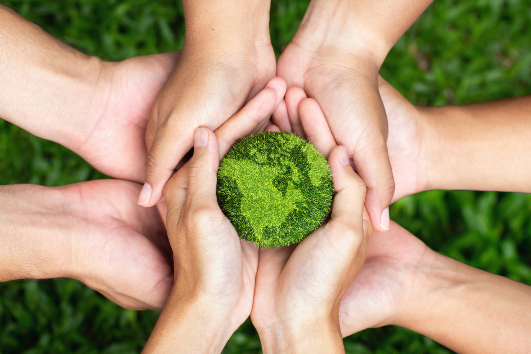 Taking care of the earth Taking care of the earth