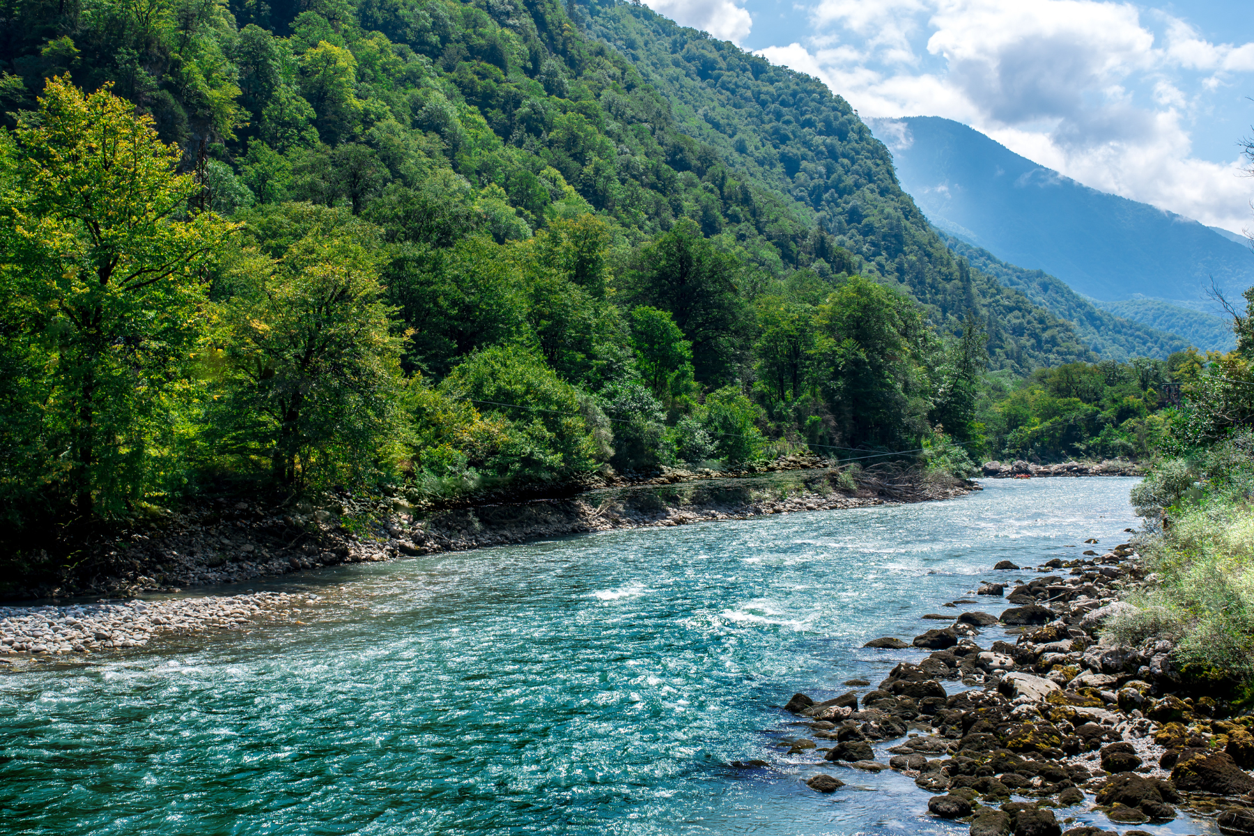 Environmental Regulation Environmental Regulation